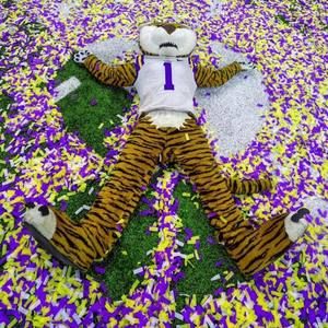 Meet your Posher, Jeanie